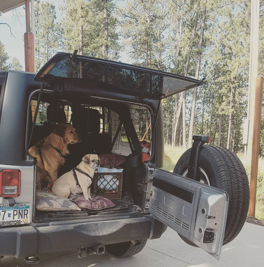 dogs-jeep-wrangler-digital-nomad-camping-minnesota-country-allies-custom-designs-roadtrip-to-elsewhere